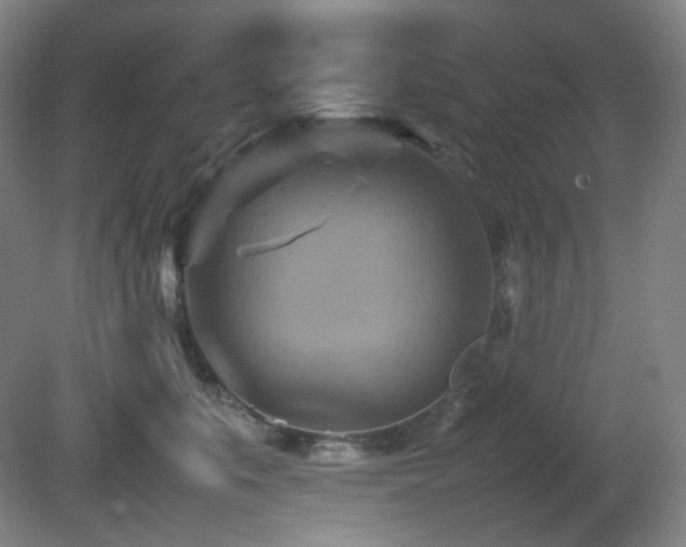 X0000080660519200612151134