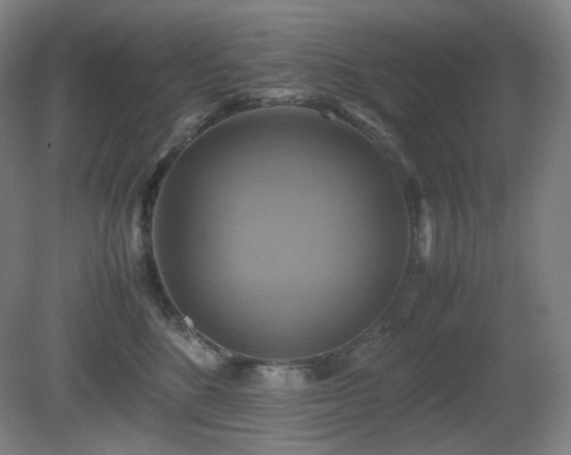 X0000080660520200612151134