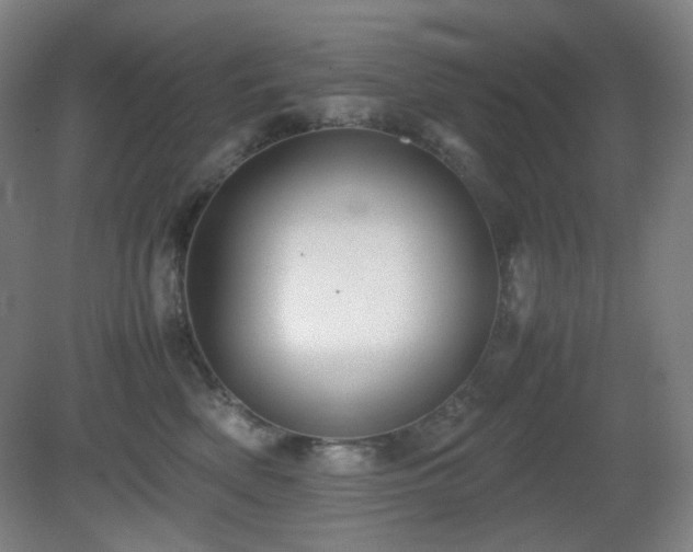 X0000080660522200612151134