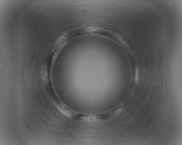 X0000080660524200612151134