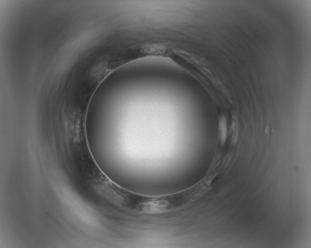 X0000080660525200612151134