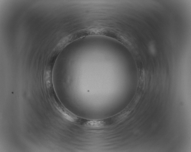 X0000080660526200612151134