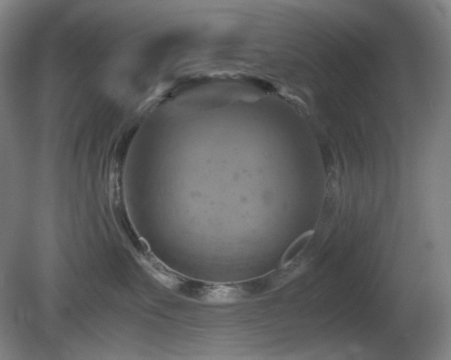 X0000080660527200612151134