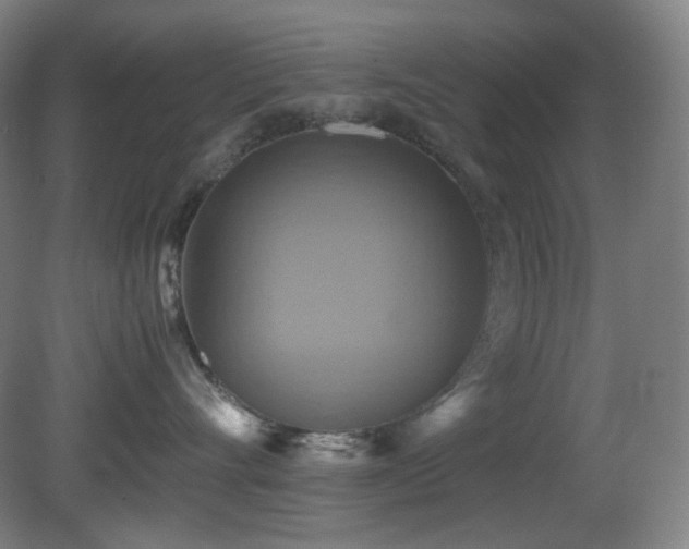 X0000080660528200612151134
