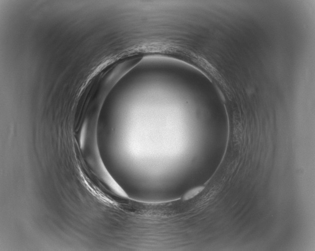 X0000080660530200612151133