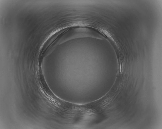 X0000080660531200612151133