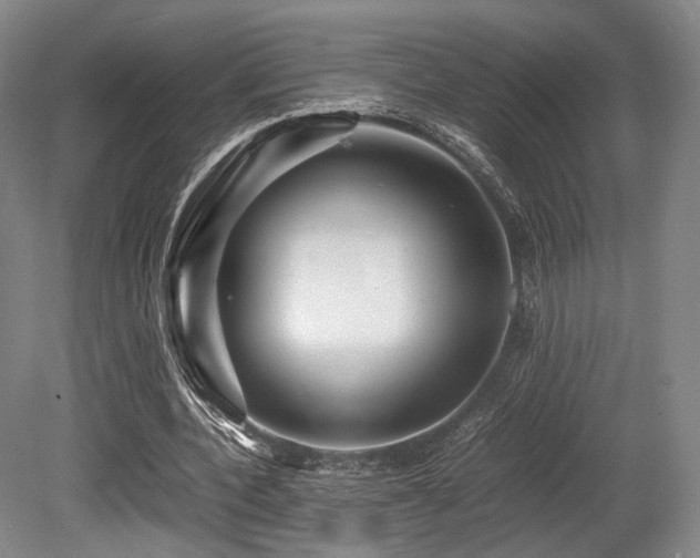 X0000080660532200612151133