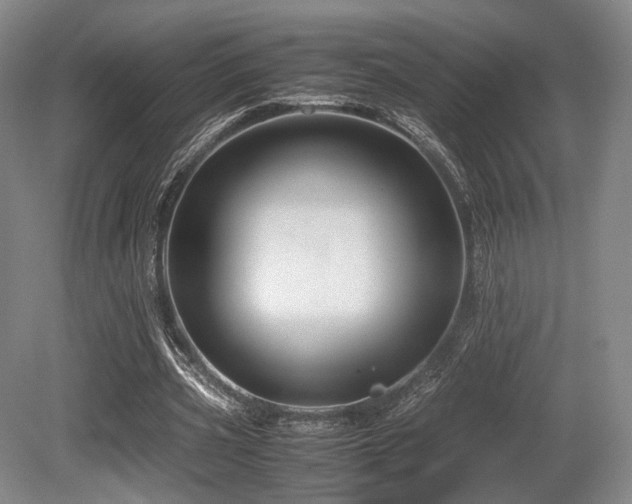 X0000080660533200612151133