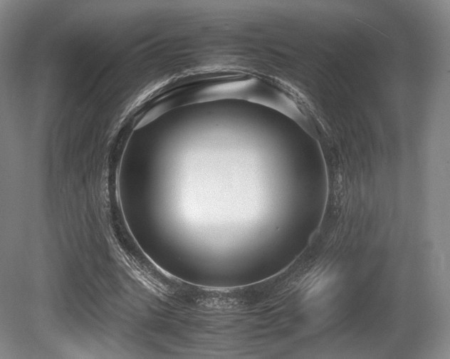 X0000080660535200612151133