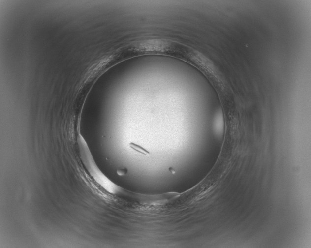 X0000080660537200612151133