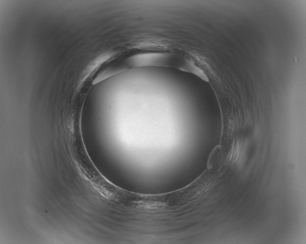 X0000080660539200612151133