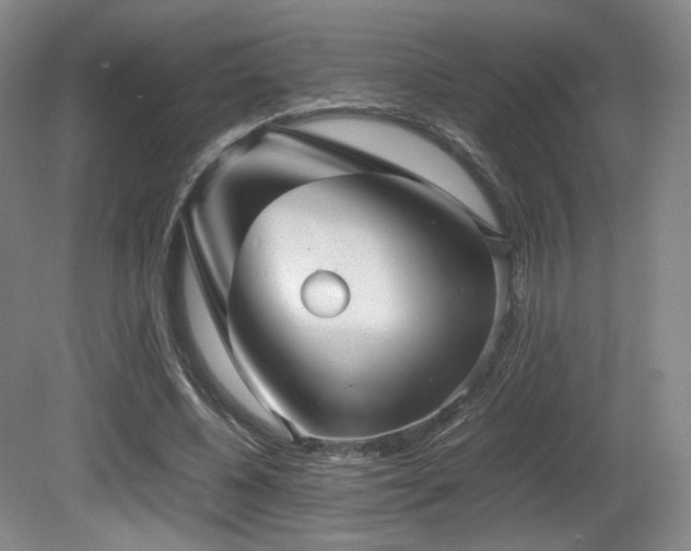 X0000080660540200612151133