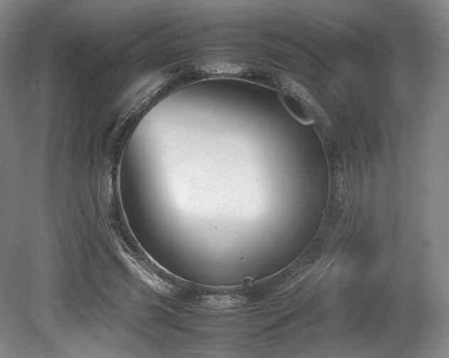 X0000080660541200612151134