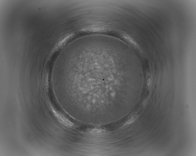 X0000080660542200612151134