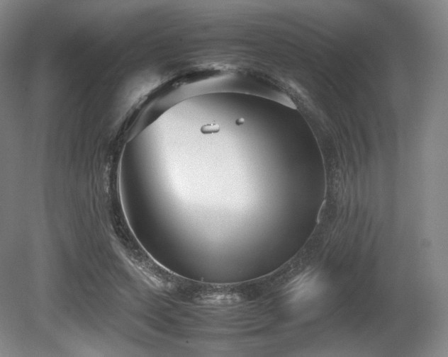 X0000080660543200612151134