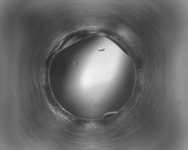 X0000080660544200612151134