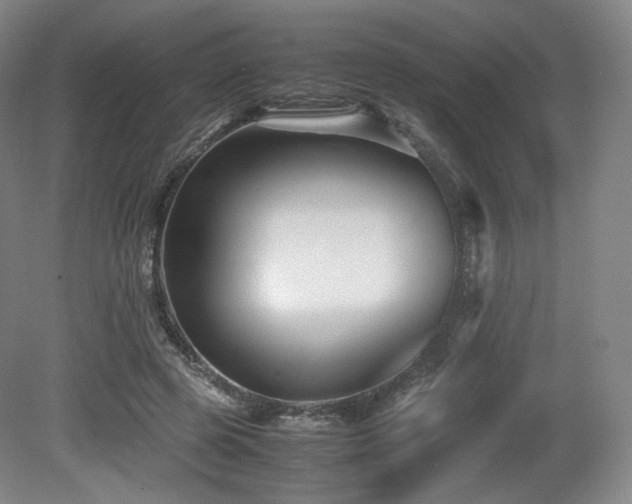 X0000080660545200612151134