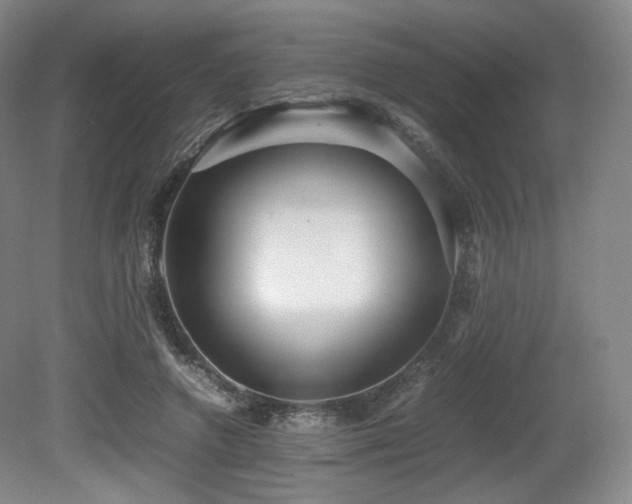 X0000080660546200612151134