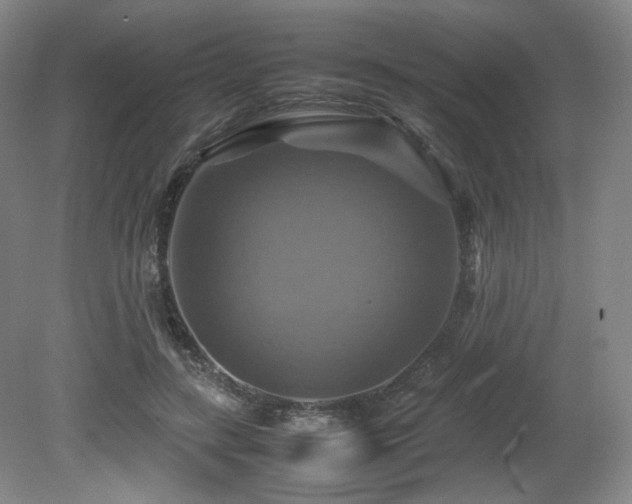 X0000080660547200612151134