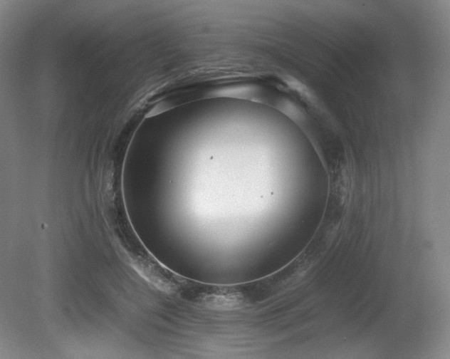 X0000080660548200612151134