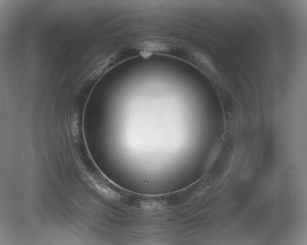 X0000080660549200612151134
