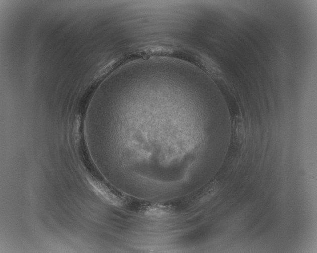 X0000080660550200612151134
