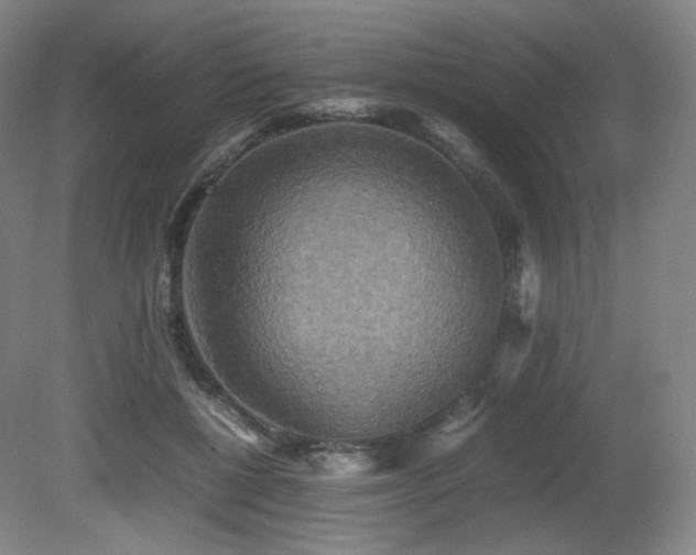 X0000080660552200612151134