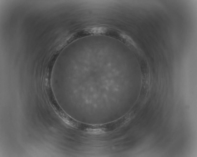 X0000080660553200612151134