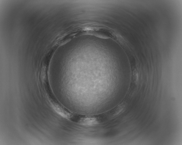 X0000080660554200612151134