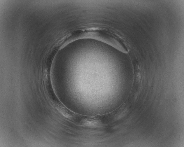 X0000080660555200612151134