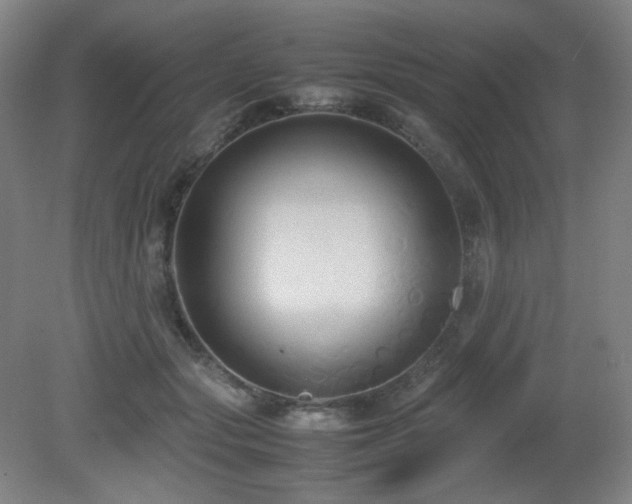 X0000080660557200612151134