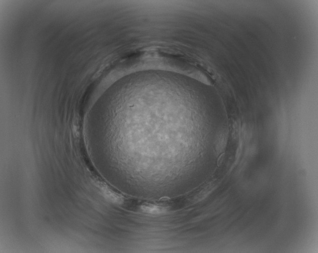 X0000080660561200612151134