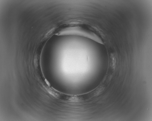 X0000080660562200612151134