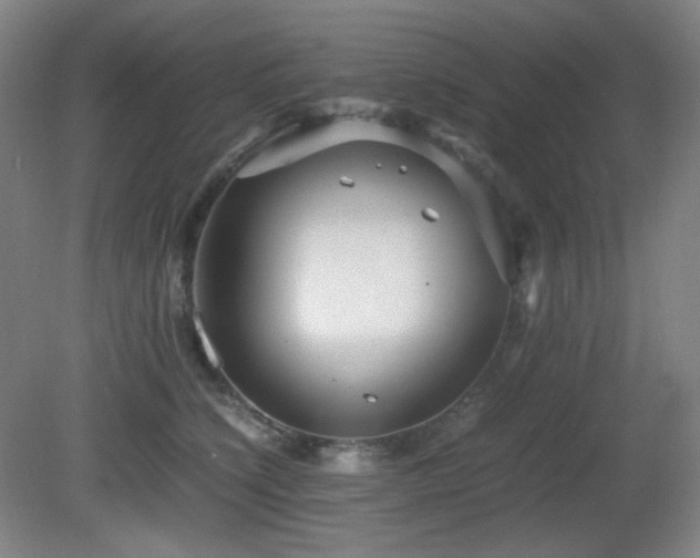 X0000080660564200612151134