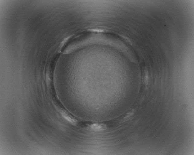 X0000080660566200612151134
