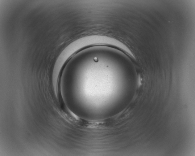 X0000080660568200612151134