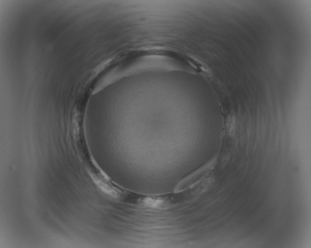 X0000080660570200612151134