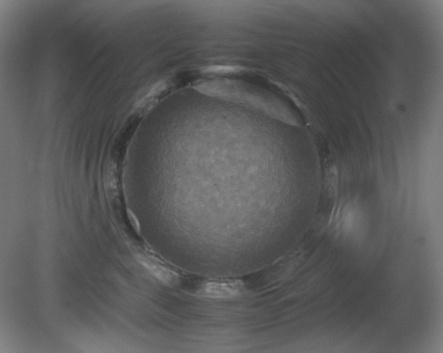 X0000080660571200612151134