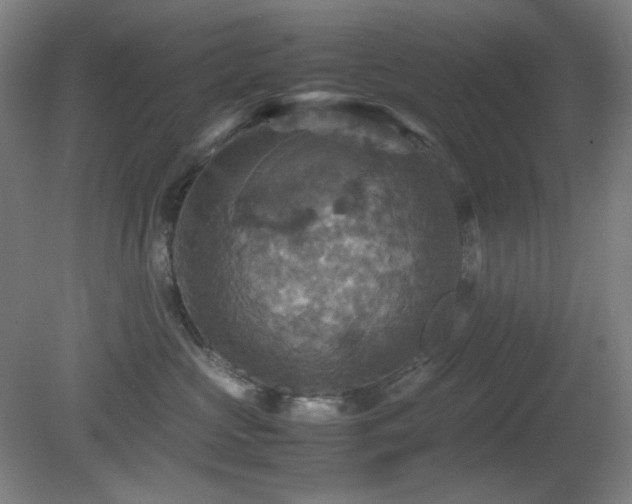 X0000080660573200612151134