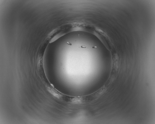X0000080660574200612151134