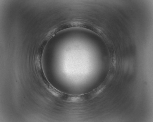 X0000080660575200612151134