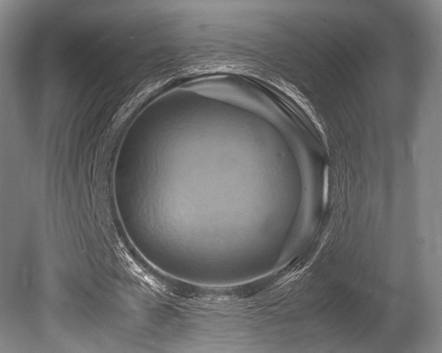 X0000080660577200612151133