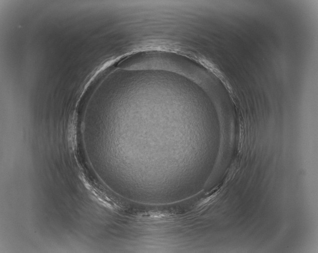 X0000080660580200612151133