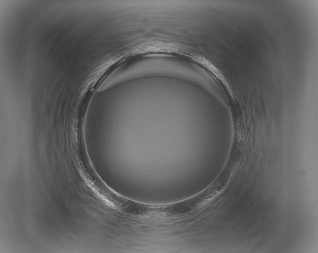 X0000080660581200612151133