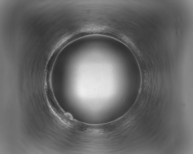 X0000080660582200612151133