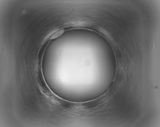 X0000080660583200612151133