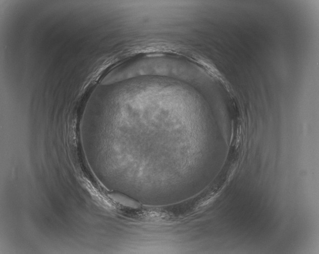 X0000080660585200612151133