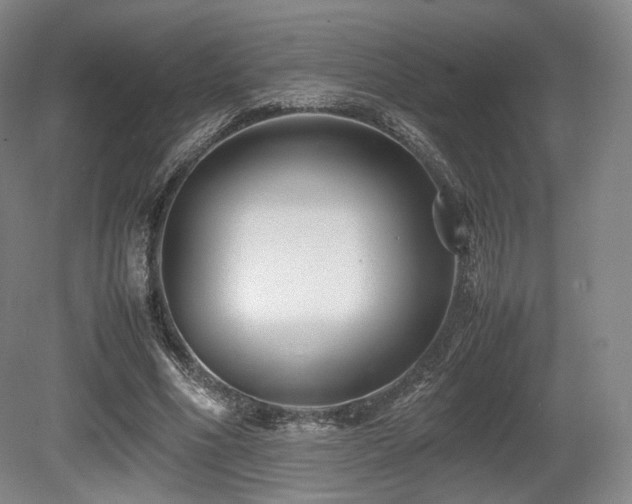 X0000080660586200612151133