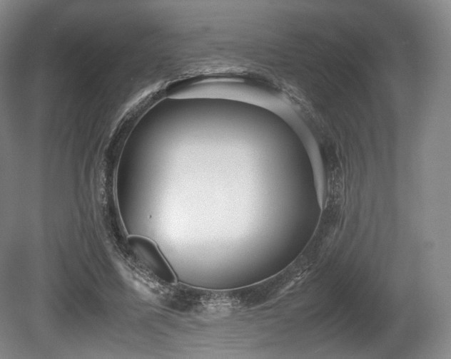 X0000080660587200612151133