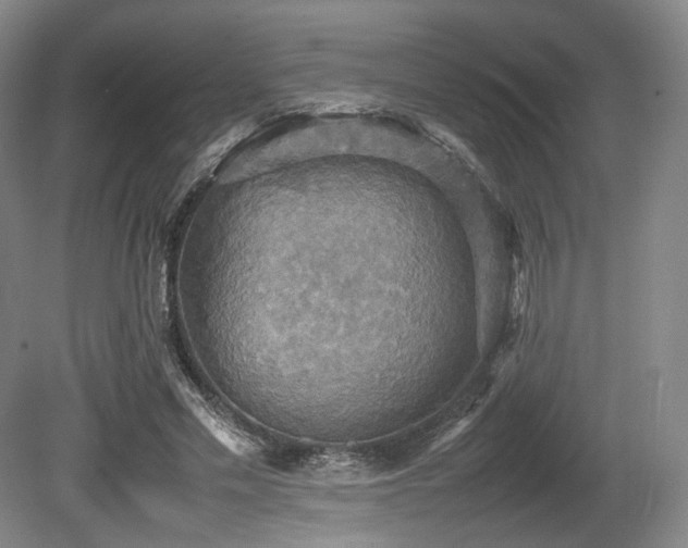 X0000080660589200612151133